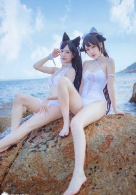 星网影视
