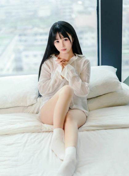 打龙袍全集免费观看