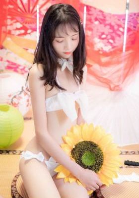 王子的本命是反派大小姐